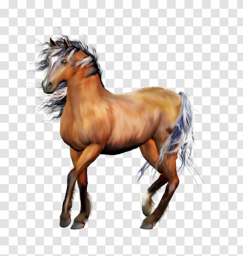 Horse Animation - Stallion - Handsome Horses Sticker Transparent PNG