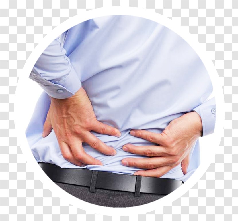 Low Back Pain Physical Therapy Human Chiropractic Transparent PNG