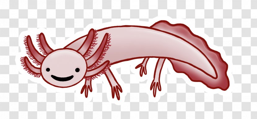 Axolotl Cartoon Canvas Salamander Illustration - Silhouette - Infographic Transparent PNG