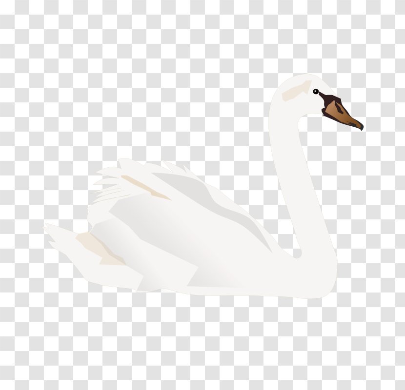 Duck Domestic Goose Cygnini - Big White Transparent PNG