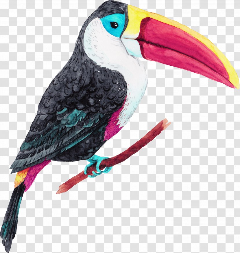 Jungle Island Bird Oiseaux Tropicaux Parrot - Drawing - Tropical Birds Transparent PNG