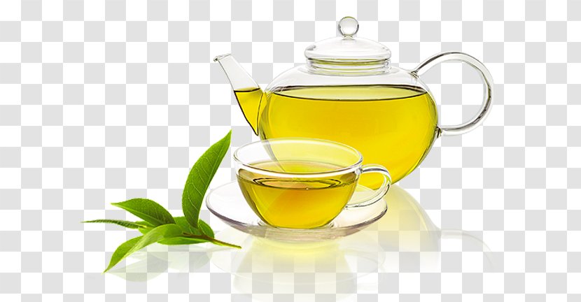 Green Tea Matcha Oolong Health - Earl Grey Transparent PNG
