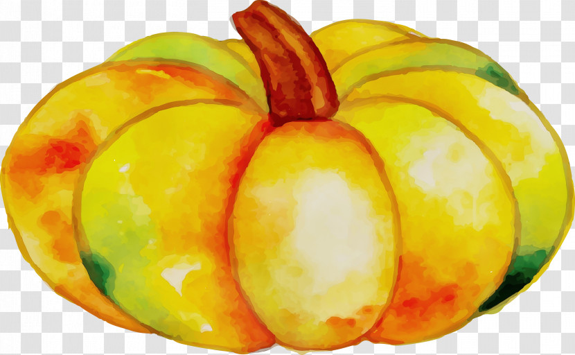 Autumn Harvest Winter Vegetable Transparent PNG