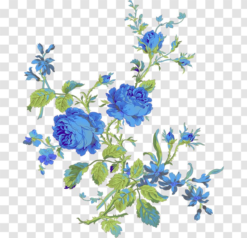 Flower Color Clip Art - Flora Transparent PNG