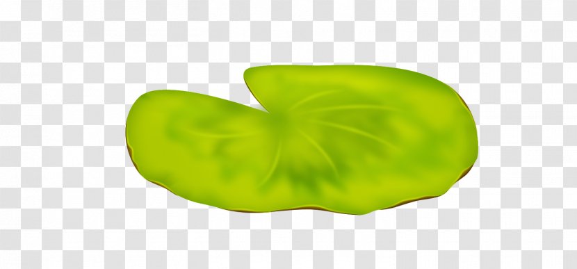 Green Fruit - Design Transparent PNG