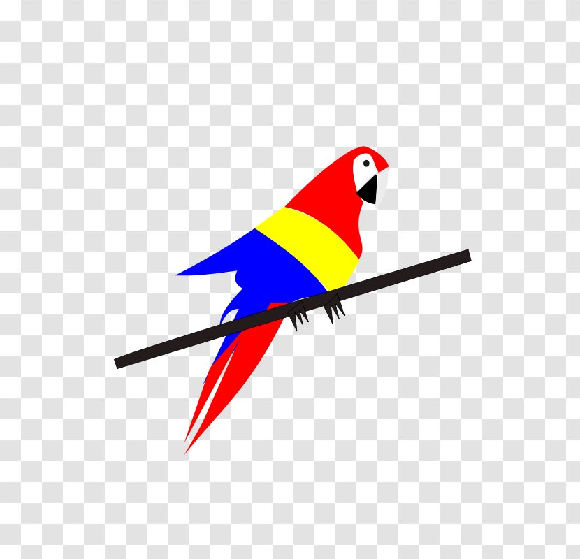 Bird Parrot Clip Art Vector Graphics - Drawing Transparent PNG