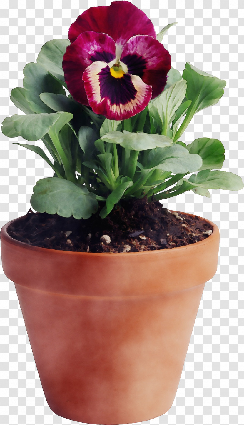 Flower Flowerpot Plant Houseplant Petal Transparent PNG