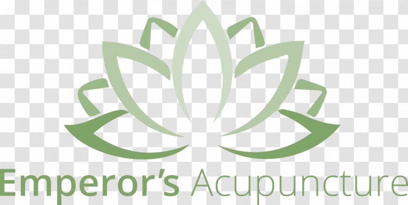 Nelumbo Nucifera Buddhist Symbolism Lotus Position Namaste - Plant - Symbol Transparent PNG