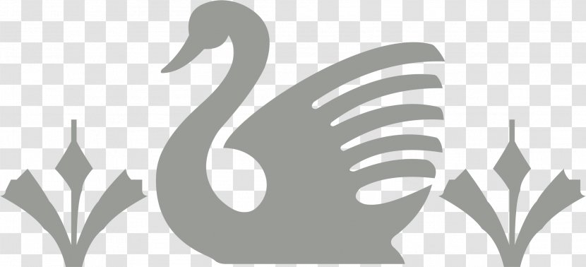 Duck Cygnini Bird Goose - Logo Transparent PNG