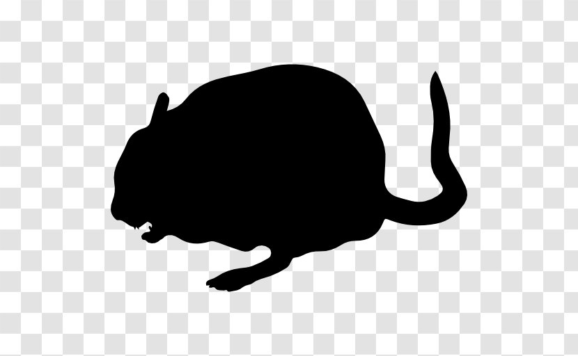 Whiskers Chinchilla Cat Clip Art - Wildlife Transparent PNG