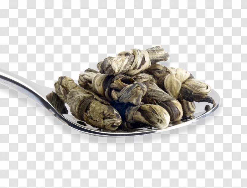 Mussel Clam - Jasmine Tea Transparent PNG