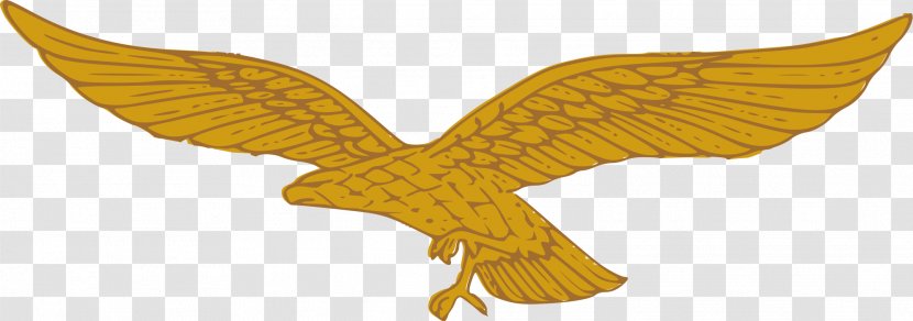 Golden Eagle German Air Force Clip Art - Accipitriformes - Bird Of Prey Transparent PNG
