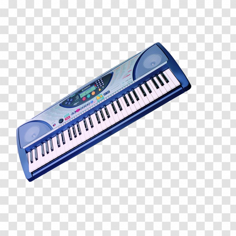 Casio CTK-4200 Musical Keyboard Piano Instrument - Tree Transparent PNG