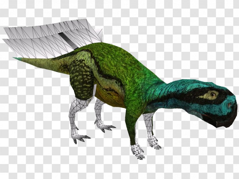 Velociraptor Tyrannosaurus Animal - Torosaurus Transparent PNG