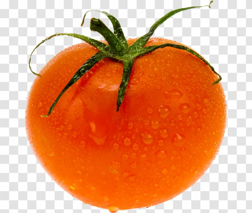 Tomato Stock Photography Vegetable - Mandarin Orange Transparent PNG