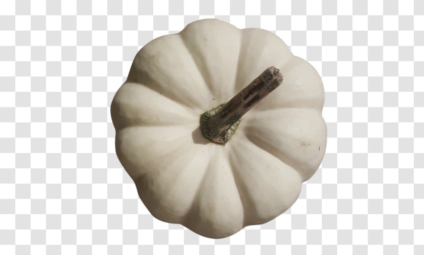 Patty Pan Cucurbita Maxima Winter Squash Recipe Zubereitung - Gram - Baby Store Transparent PNG