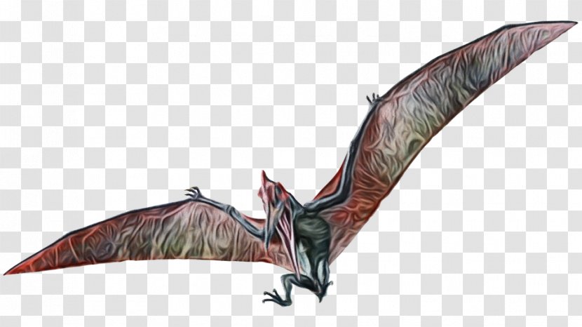 Bat Cartoon - Microceratus - Wing Transparent PNG