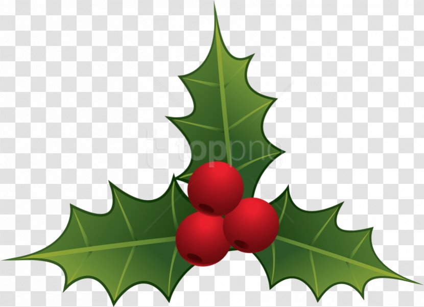 Drawing Christmas Tree - Plane - Chinese Hawthorn Branch Transparent PNG