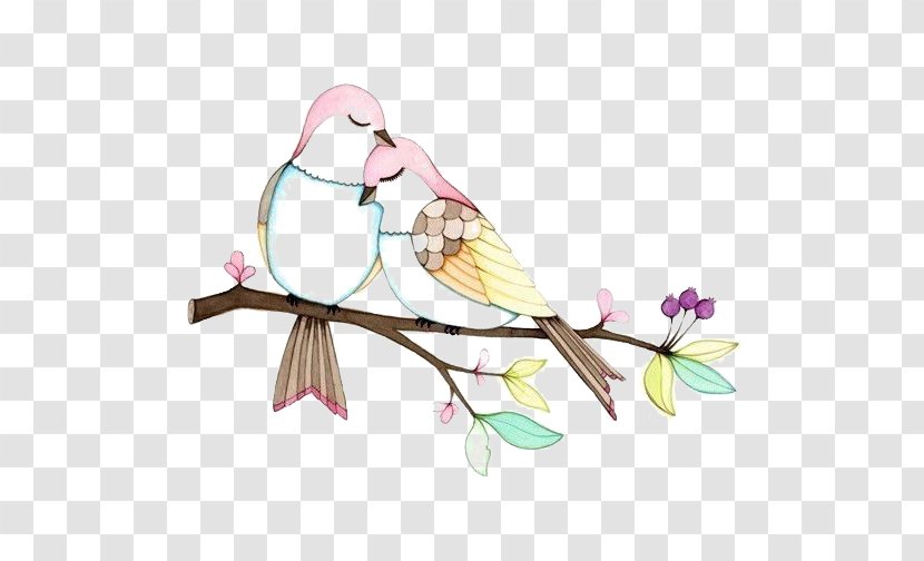 Lovebird Drawing Illustration - Twig - Birds Transparent PNG