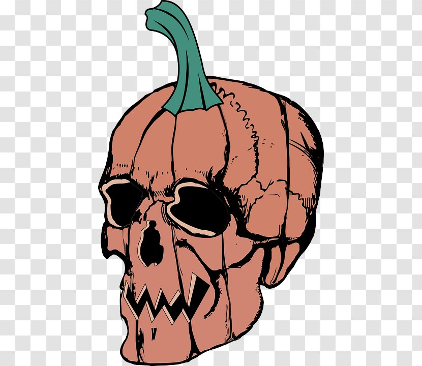 Pumpkin - Plant - Bone Skull Transparent PNG