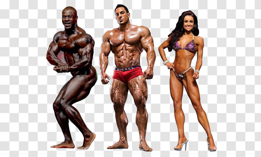 Fitness And Figure Competition Female Bodybuilding Muscle Human Body - Flower Transparent PNG
