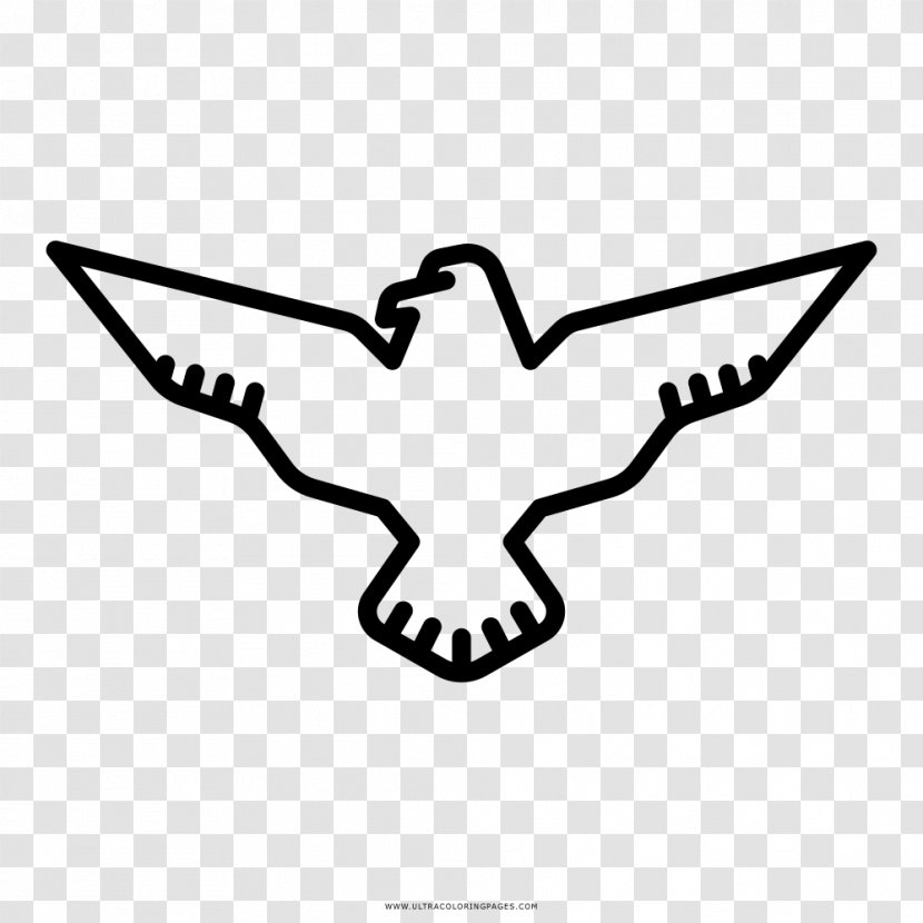 Coloring Book Drawing Harpy Eagle - Symbol Transparent PNG