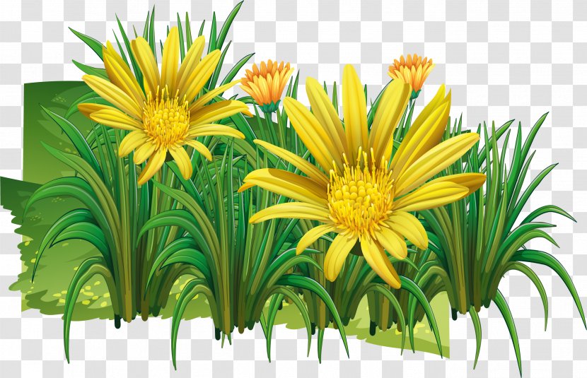 Chrysanthemum Indicum Clip Art - Flower - Yellow Wild Transparent PNG