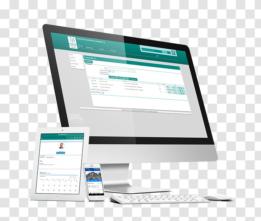 Responsive Web Design Graphic Development - Software - Organizing Transparent PNG