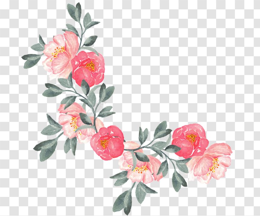 Floral Illustrations Flower Design Image - Bouquet Transparent PNG
