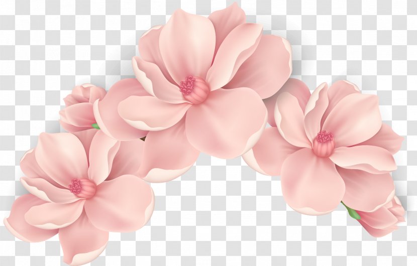 Pink Flowers - Floral Design - Vector Hand Painted Transparent PNG