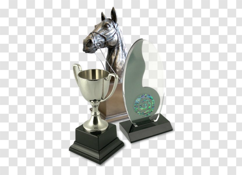 Shepton Mallet Trophy Award British Gymnastics Radstock - Birthday - Silver Transparent PNG