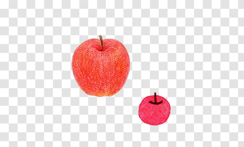 Apple Red Color Computer File - Lead - Simple Small Fresh Of Transparent PNG