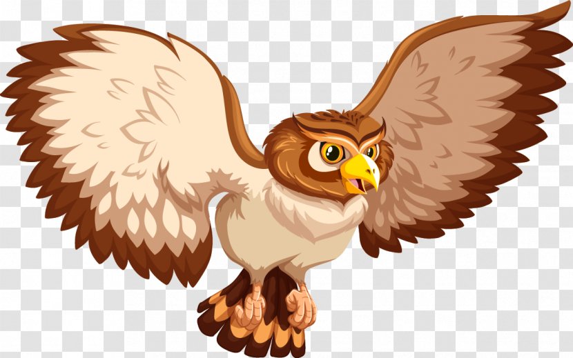 Owl Drawing Euclidean Vector Illustration - Vecteur - Cartoon Transparent PNG