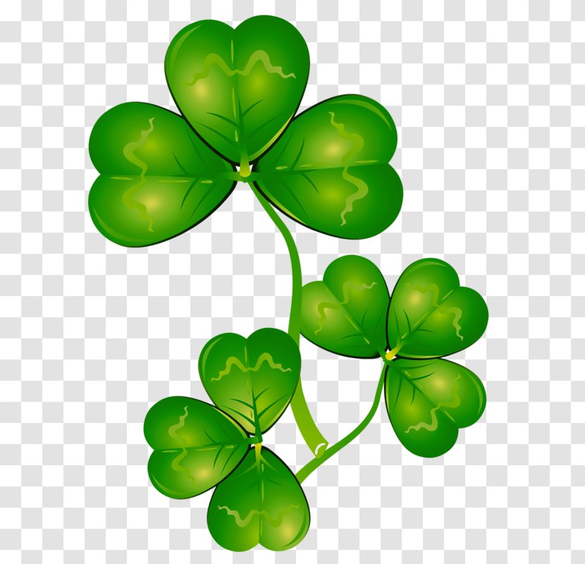 Four-leaf Clover Shamrock Clip Art - Photography Transparent PNG