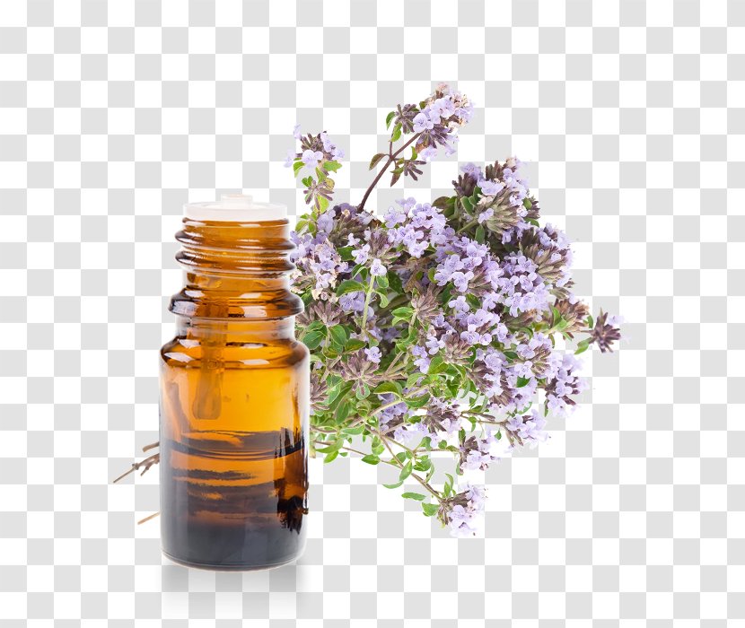 Linalool Garden Thyme Herb Pianta Aromatica Oil - Bottle - Essential Transparent PNG