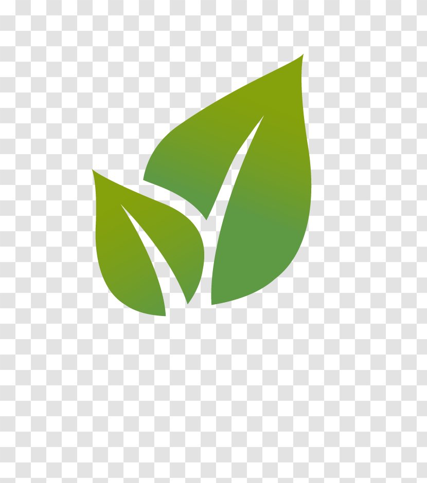 Leaf Euclidean Vector Illustration - Logo - Icon Environment Free Transparent PNG