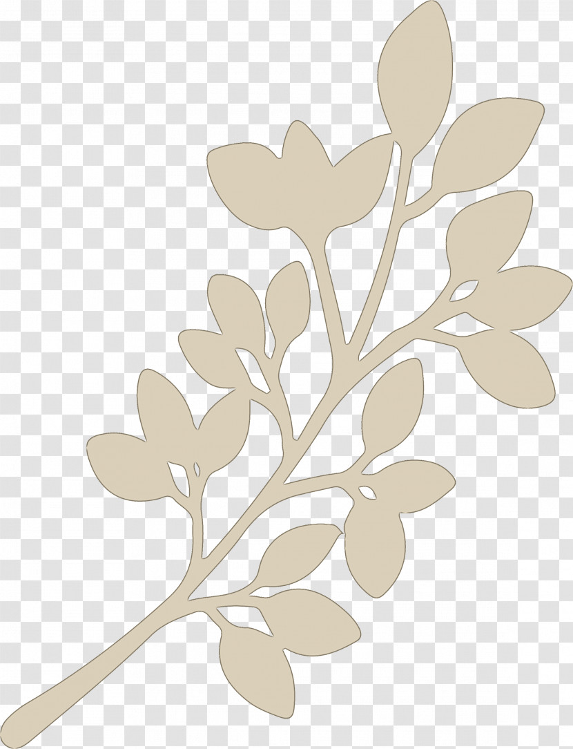 Twig Plant Stem Leaf Meter Plants Transparent PNG