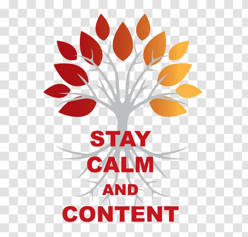Stay Calm And Content Logo Surf Snowdonia Tree Frog Digital The Townhouse Hotel Transparent PNG
