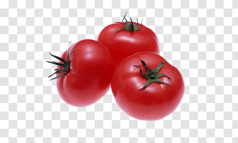 Tomato Vegetable U7dd1u9ec4u8272u91ceu83dc U590fu91ceu83dc Fruit - Potato And Genus - Three Tomatoes Transparent PNG