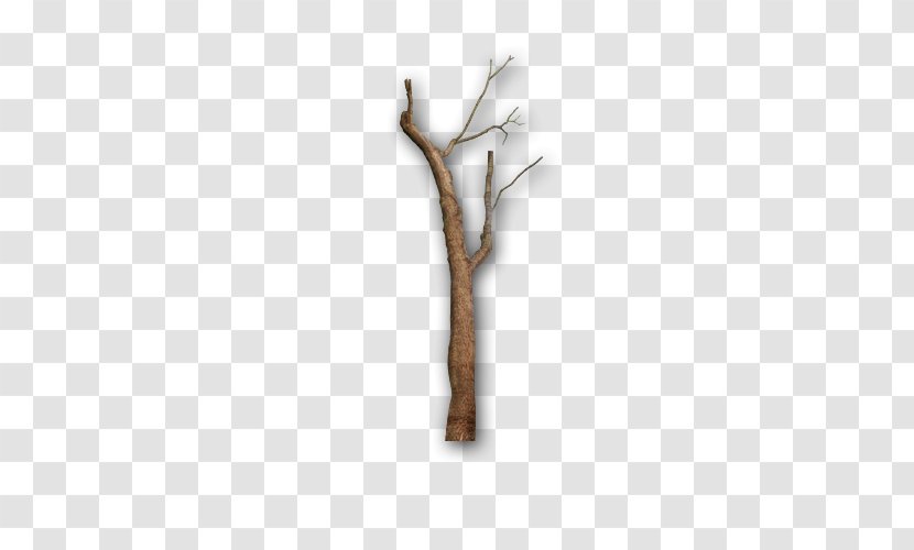 Gray Tree Twig Branch - Branches Transparent PNG