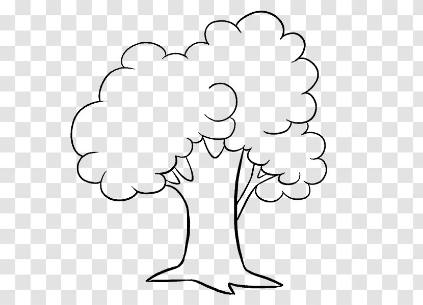 Drawing Tree Sketch - Organism Transparent PNG