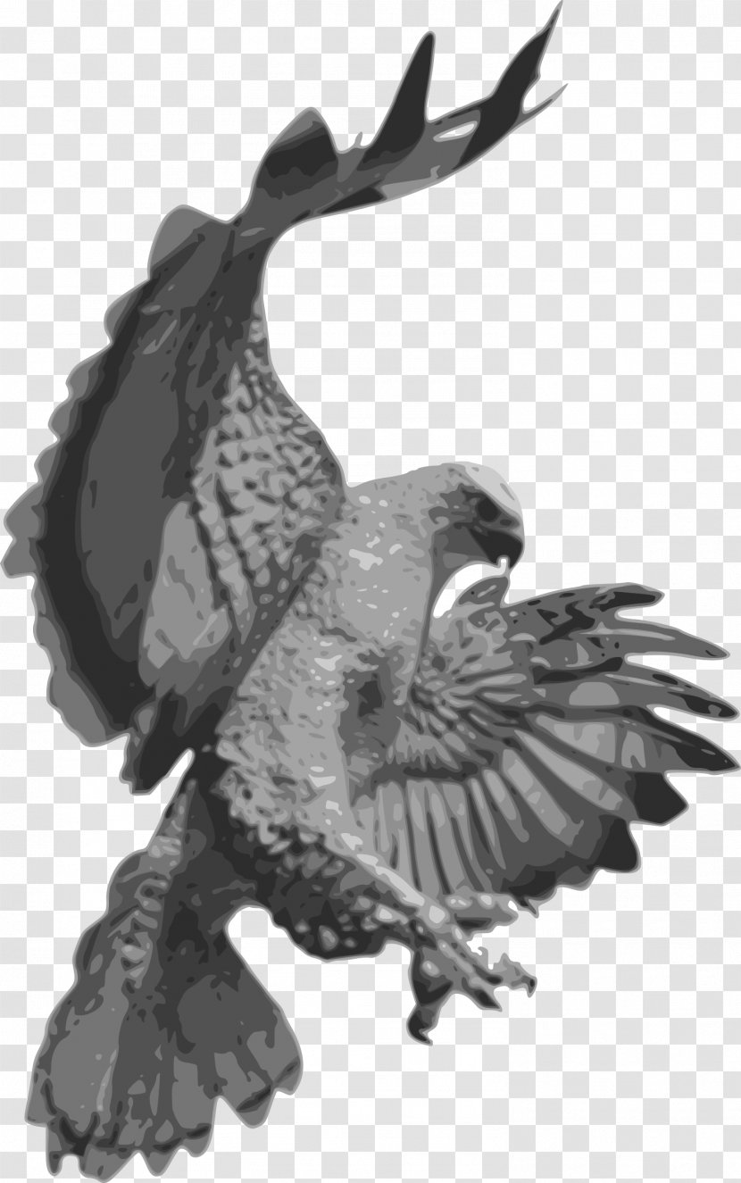 Hawk Clip Art Bald Eagle Image Transparent PNG