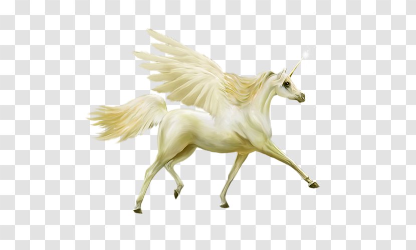 Howrse Unicorn Horse Pegasus - Mustang - White Transparent PNG