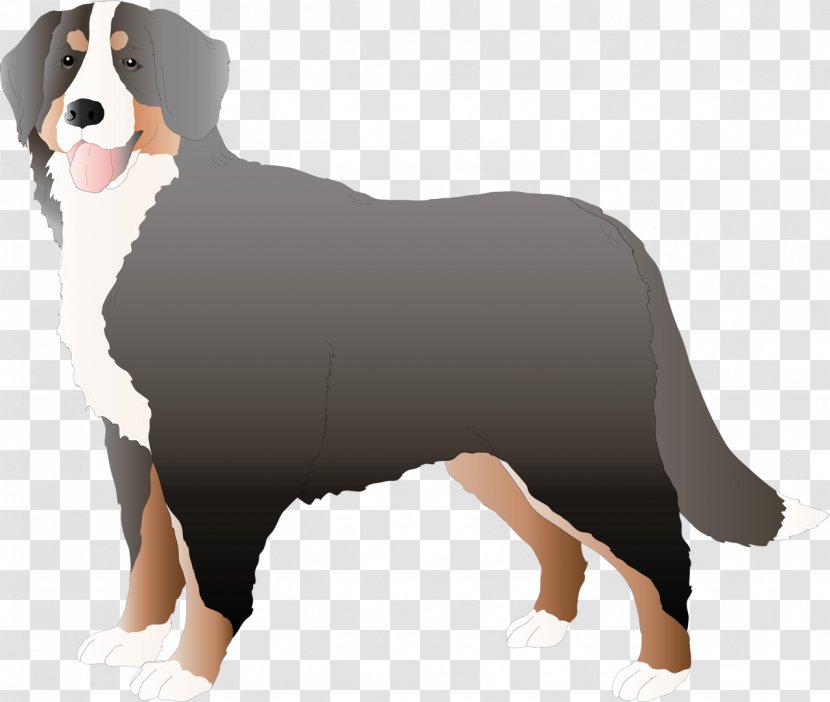 Mountain Cartoon - Dog - Working Australian Shepherd Transparent PNG