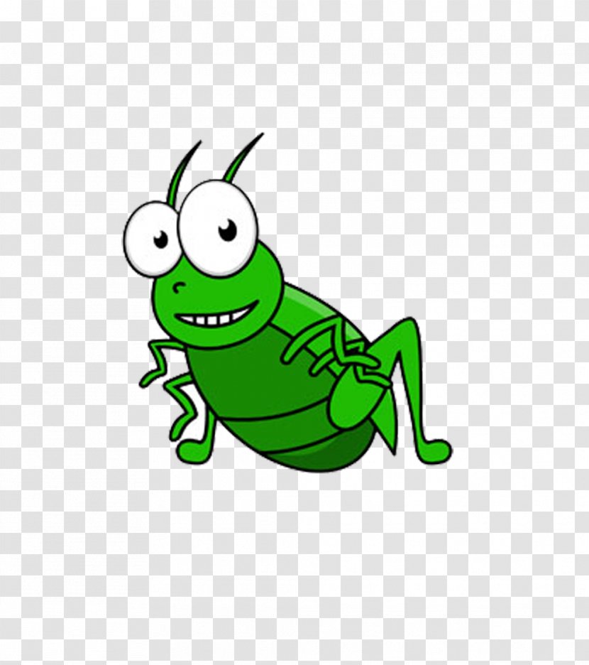 Insect Field Cricket Grasshopper Clip Art - Amphibian - Little Green Cartoon Transparent PNG