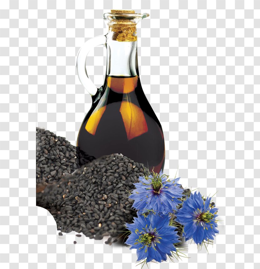 Fennel Flower Seed Oil Liqueur Glass Bottle Organic Food - Black Cumin Transparent PNG