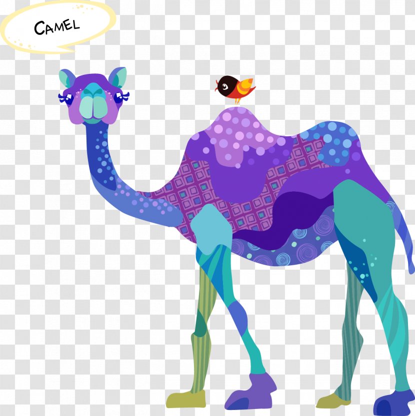 Dromedary Camel Train Drawing Transparent PNG