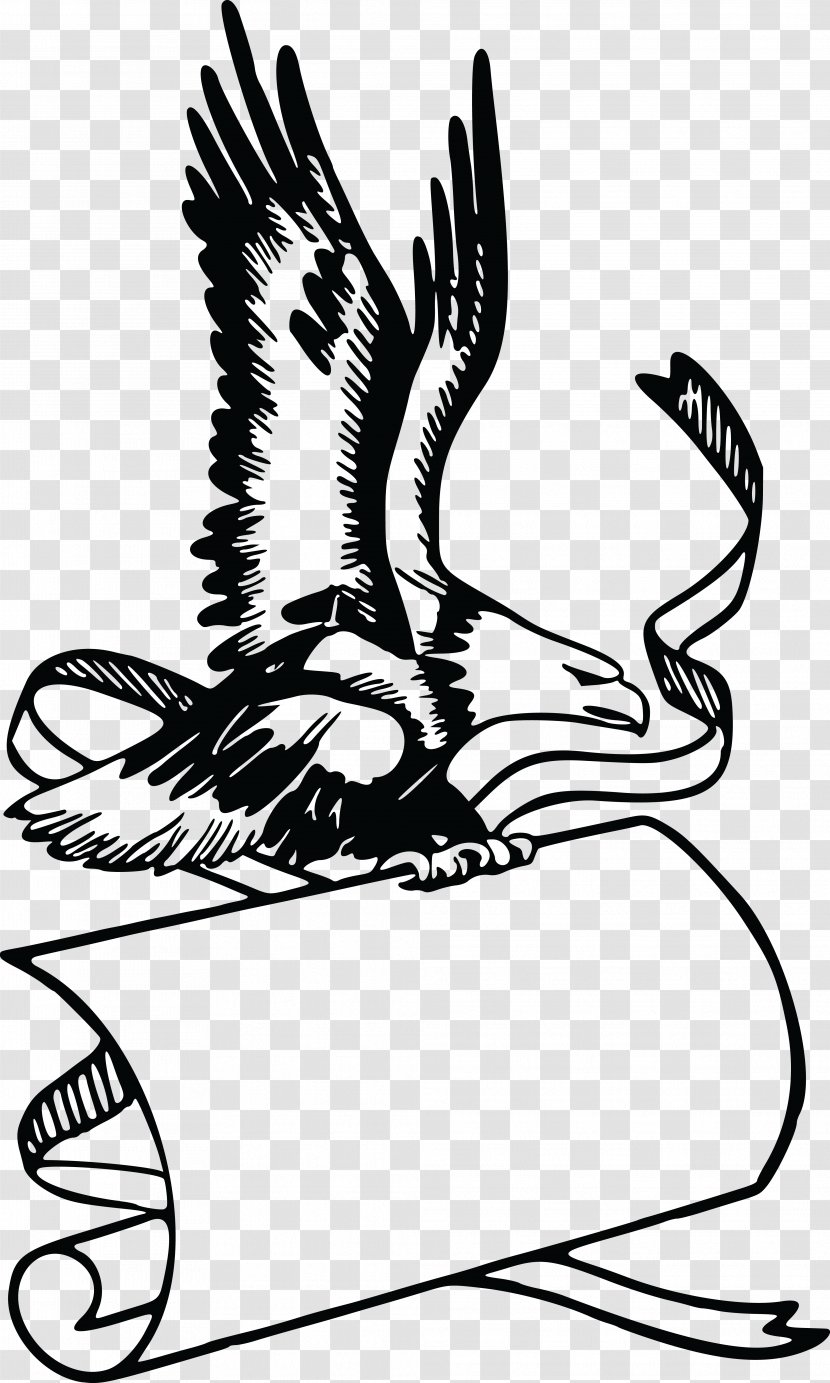 Bald Eagle Beak Banner Clip Art - Headgear Transparent PNG