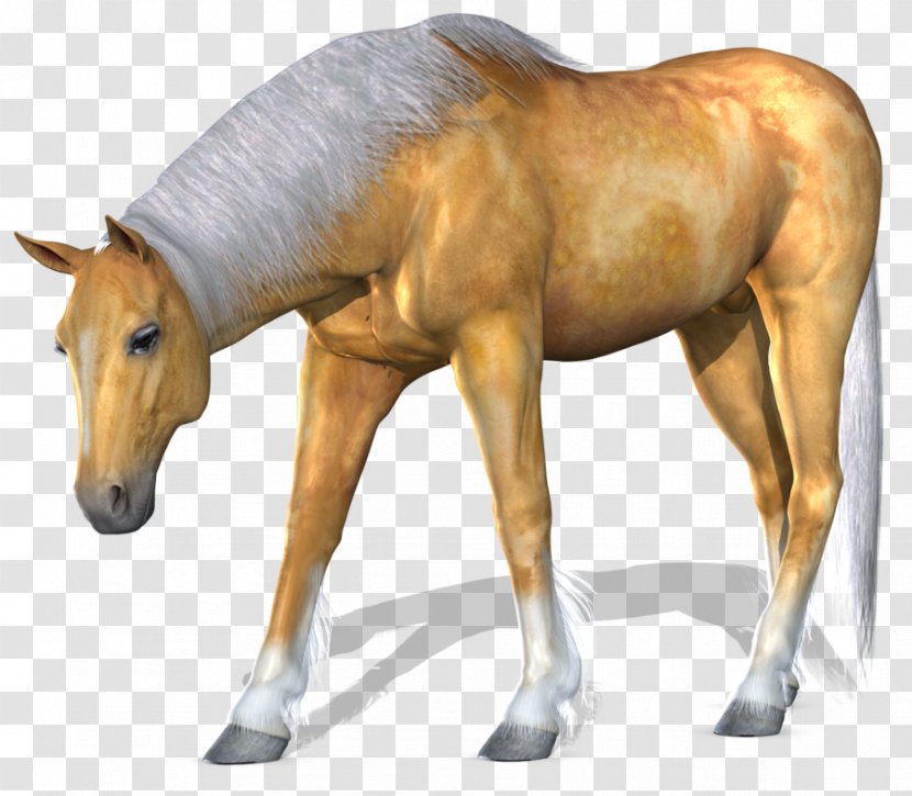 American Paint Horse Mustang Clip Art - Harness Transparent PNG