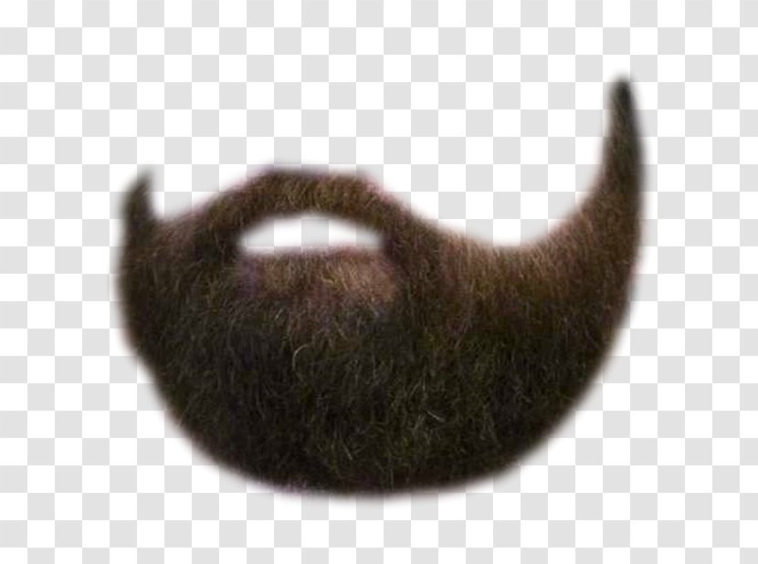 Beard Moustache Facial Hair Face - Tail Transparent PNG